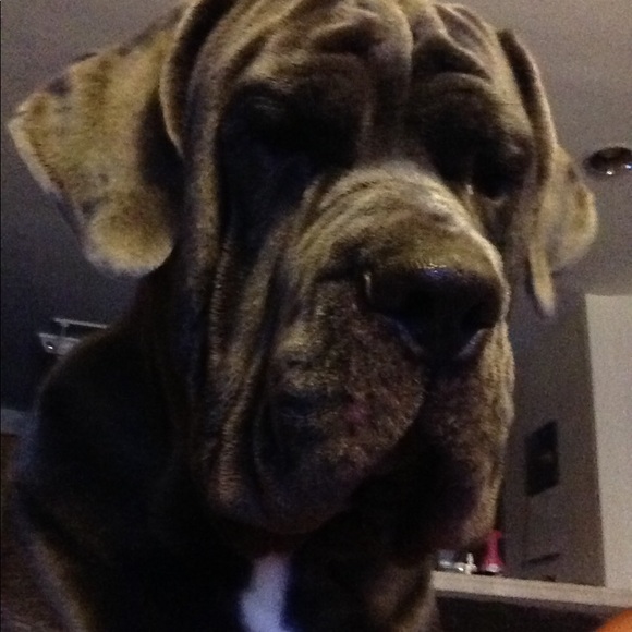 ๐พ๐พ๐พ๐พ๐พ๐พ๐พ๐พ๐พ๐พ๐พ๐พ - Picture 7 of 7